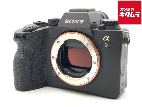Mirrorless Interchangeable Lips 9 Ii [Ilce-9M2]