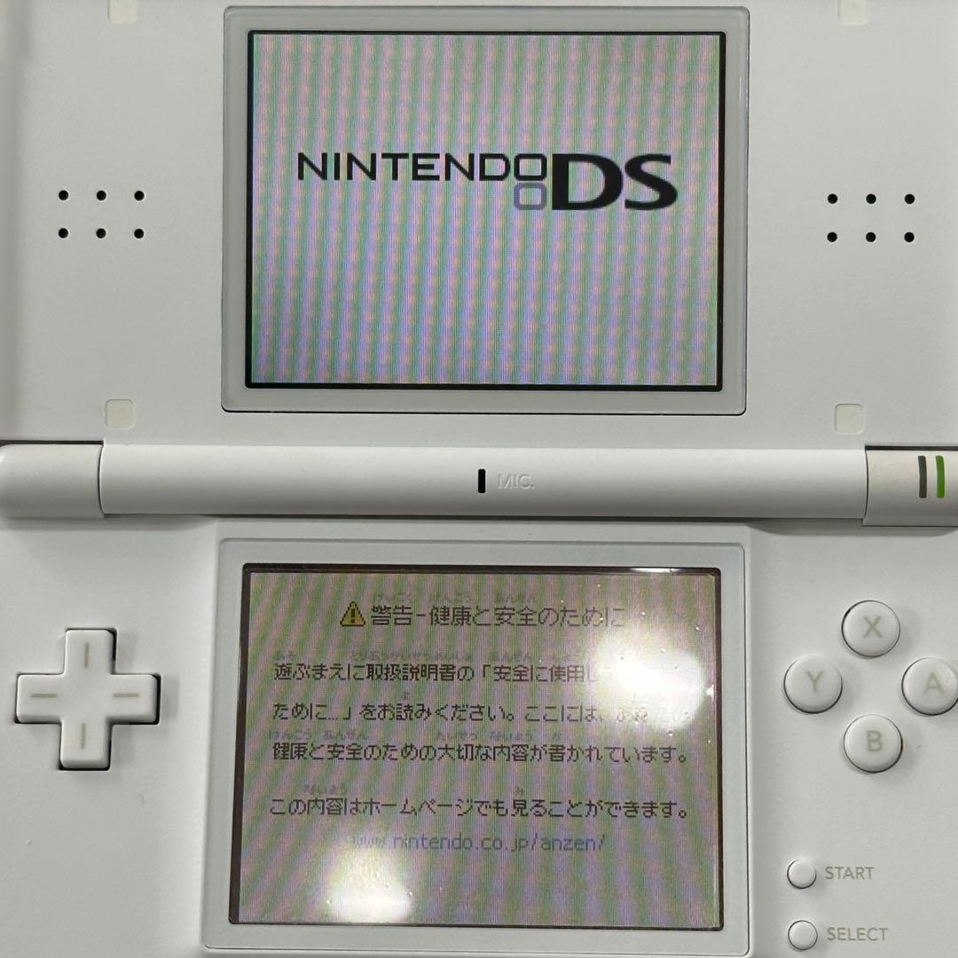 Body (Ds Lite)