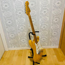 Yamaha Electric Guitars Super R'Nroller400