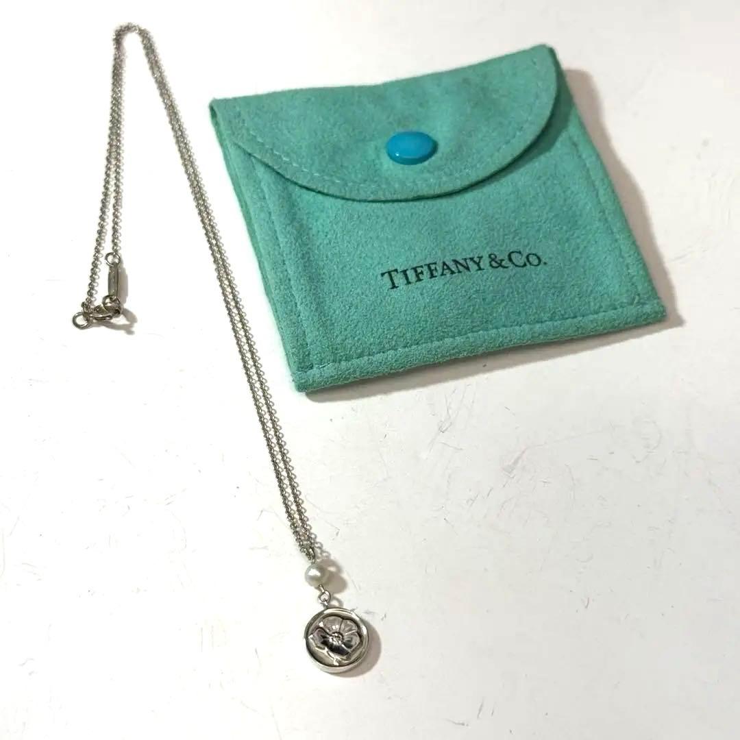 Tiffany Necklace 925
