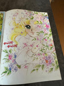 Illustrations