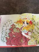 Illustrations