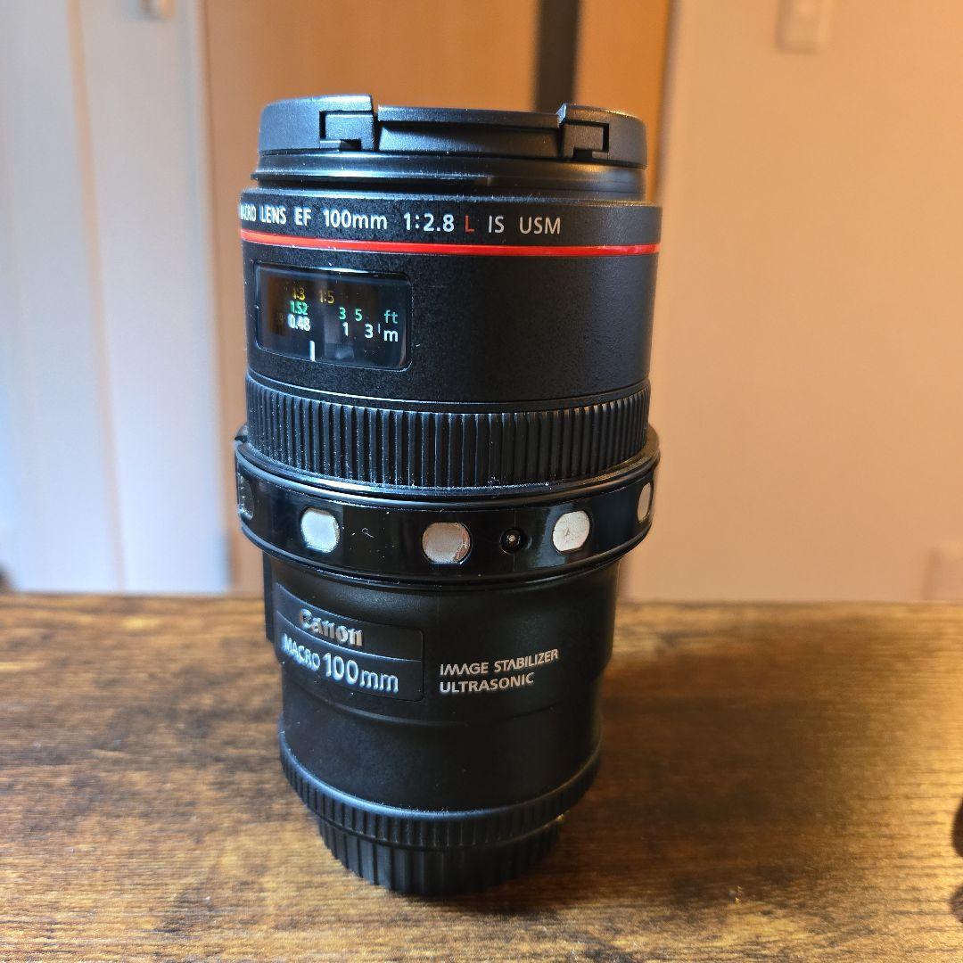 Lens (Zoom) Canon Ef F/2.8 L Is Usm