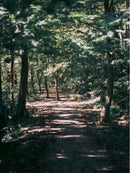 Fujifilm Medium Format Digital Camera Gfx 50S