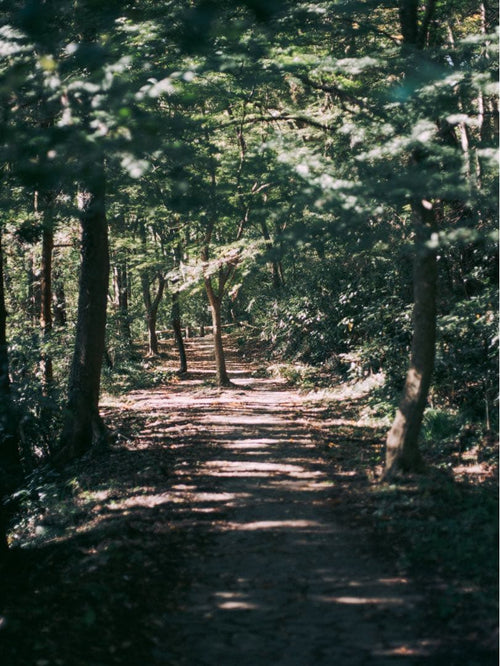Fujifilm Medium Format Digital Camera Gfx 50S