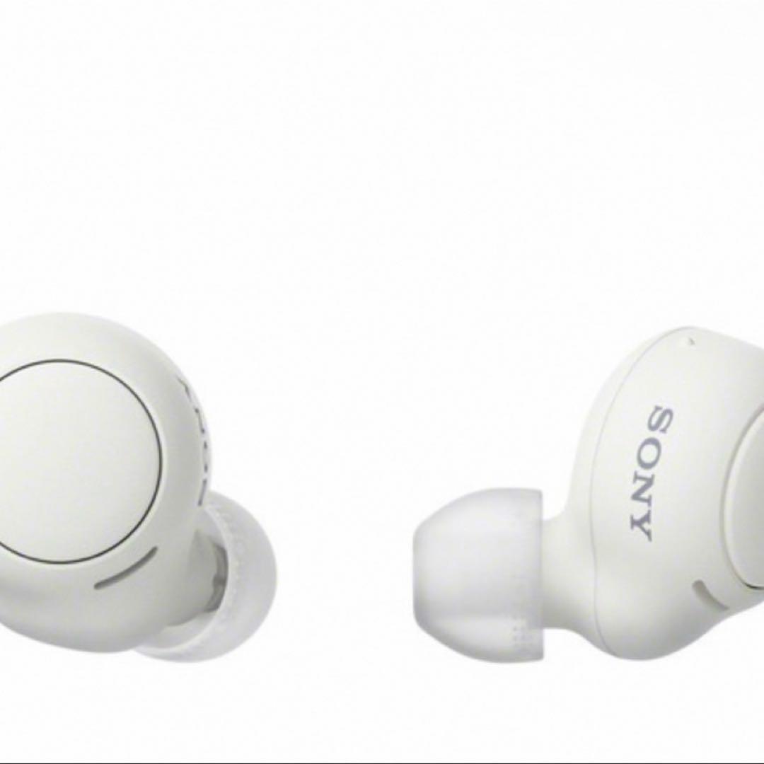 Sony Wireless Earphones