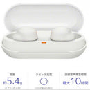 Sony Wireless Earphones