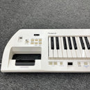 Roland Analog Synthesizer 11629 Ax-09