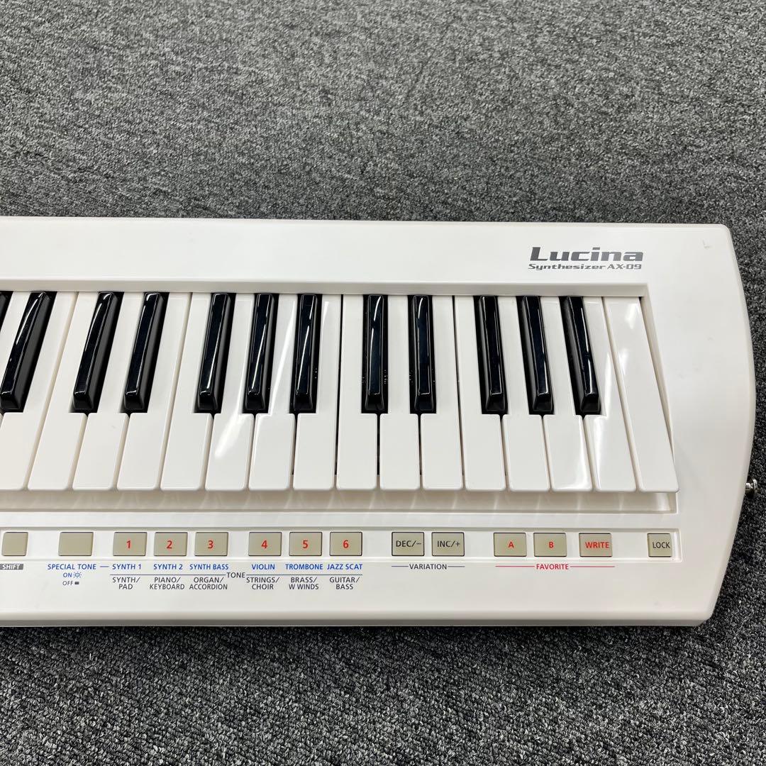 Roland Analog Synthesizer 11629 Ax-09