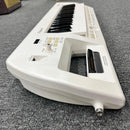Roland Analog Synthesizer 11629 Ax-09