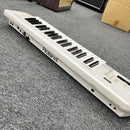 Roland Analog Synthesizer 11629 Ax-09