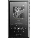 Others 32Gb A300 Nw-A306 /Ldac Aptx Tm Hd /Mp3