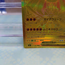 Pokemon Card Game Ex Mur