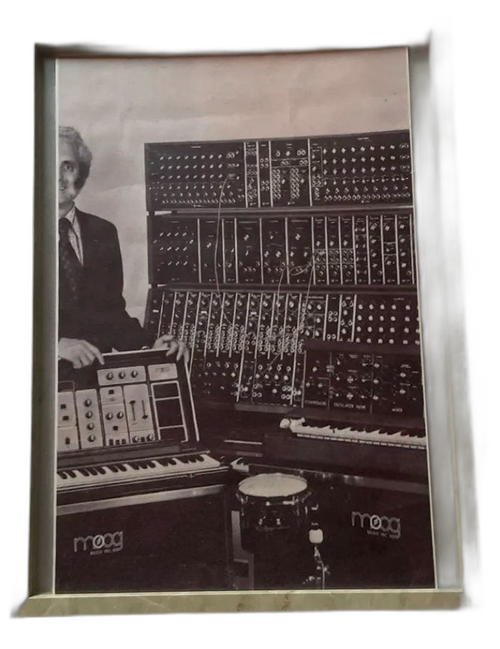 Moog Analog Synthesizer