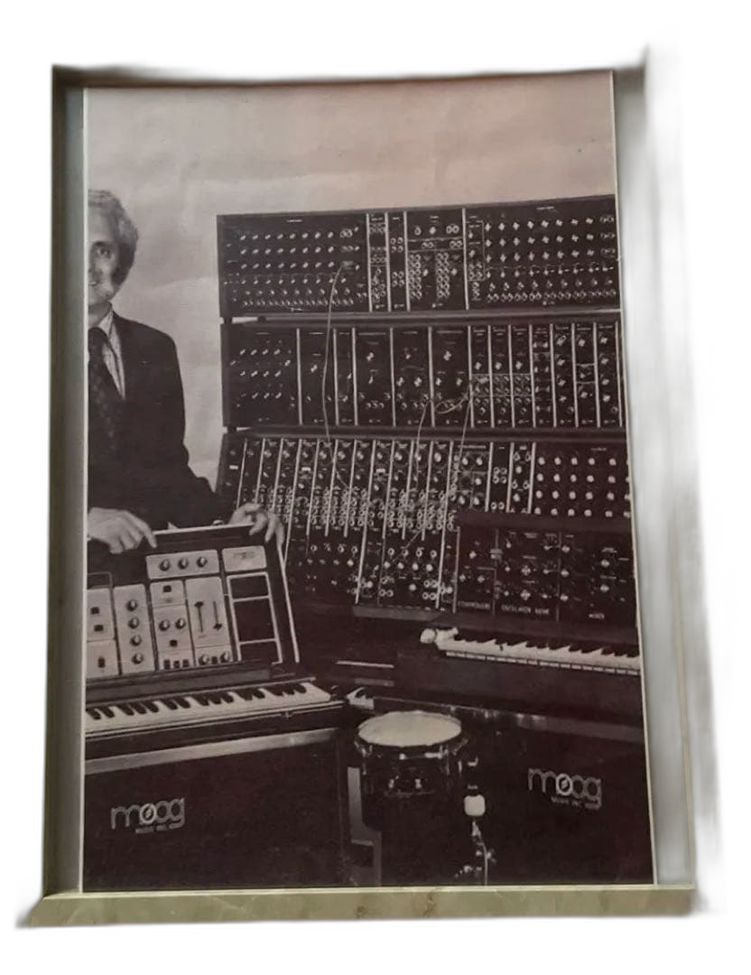 Moog Analog Synthesizer