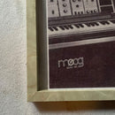 Moog Analog Synthesizer