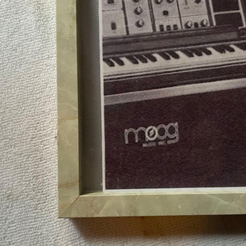 Moog Analog Synthesizer