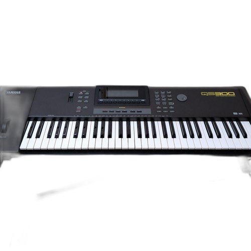 Yamaha Others Qs-300