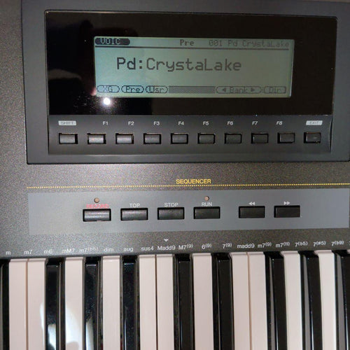 Yamaha Other Qs-300