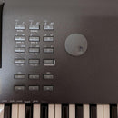 Yamaha Others Qs-300