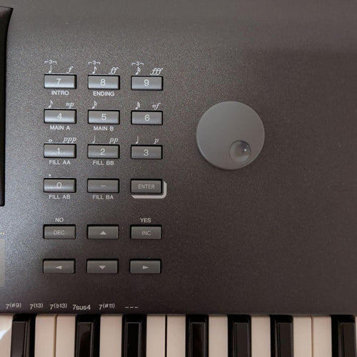 Yamaha Others Qs-300