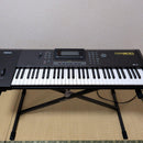 Yamaha Others Qs-300