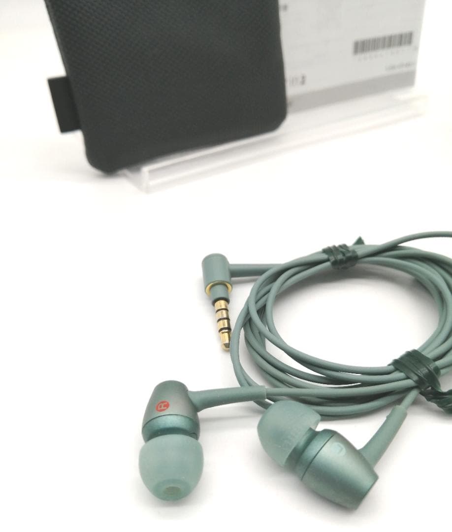 Wireless Earphone Sony Ier-Nw500N