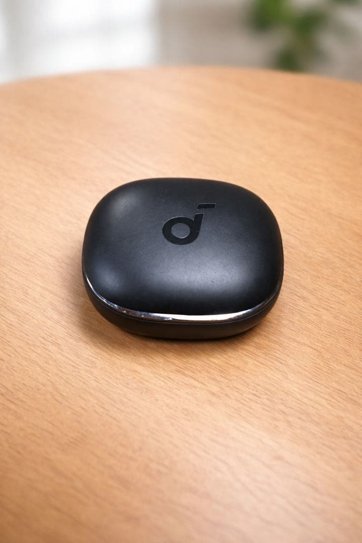 Earphone Case