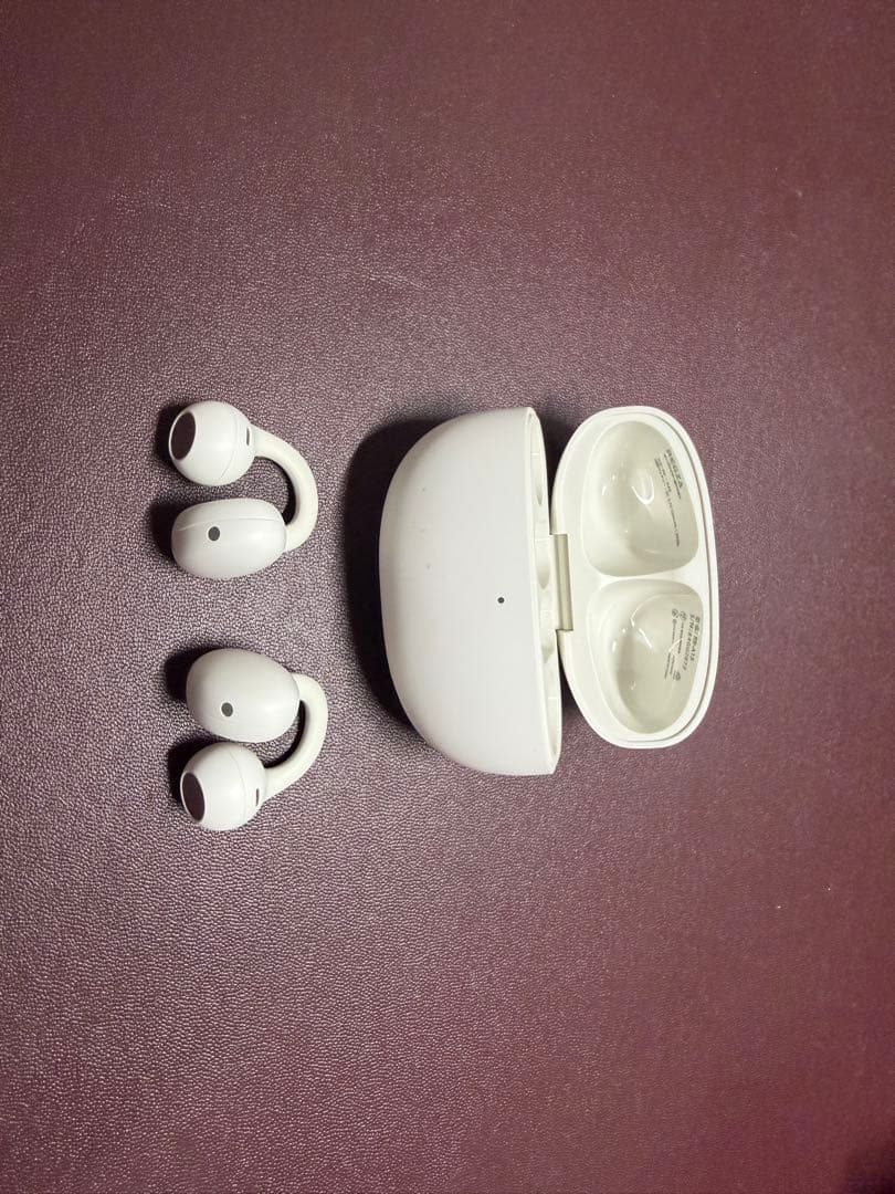 Regza Wireless Earphones Rb-A1S