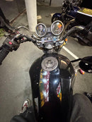 Kawasaki Motorcycle Body Zrx400