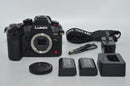 Panasonic Mirrorless Interchangeable Lips 260087 Gh6 Dc-Gh6
