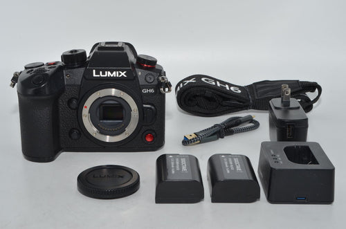 Panasonic Mirrorless Interchangeable Lips 260087 Gh6 Dc-Gh6