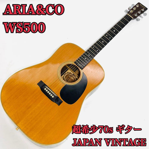 Aria Acoustic Guitars Aria&Co Ws500 70S Vintage
