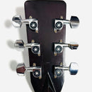 Aria Acoustic Guitars Aria&Co Ws500 70S Vintage