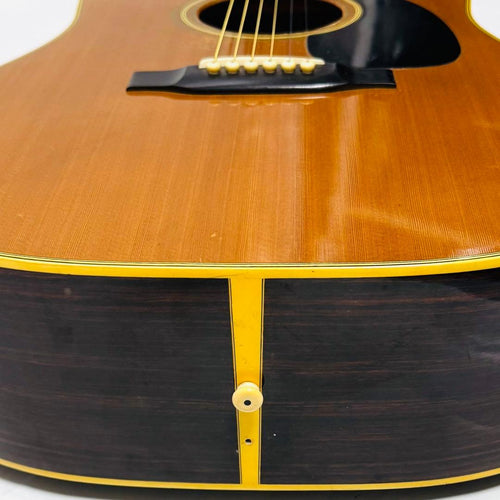Aria Acoustic Guitars Aria&Co Ws500 70S Vintage