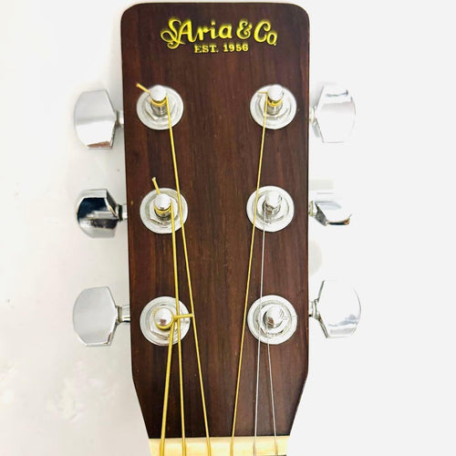 Aria Acoustic Guitars Aria&Co Ws500 70S Vintage