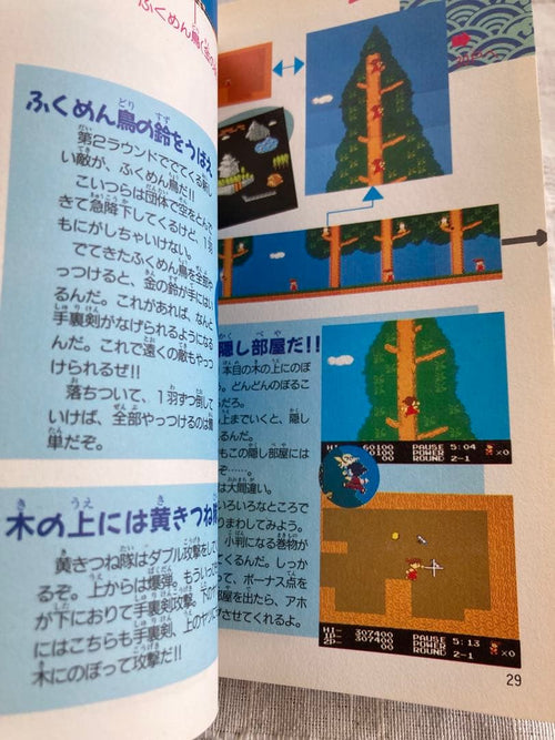 Game Capture Book