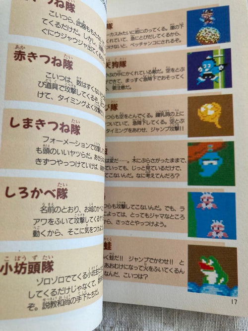 Game Capture Book