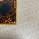 Yu-Gi-Oh! Ocg Duel Monsters (Japanese) Lv10 Lv7