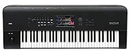 Analog Synthesizer Korg Nautilus 61
