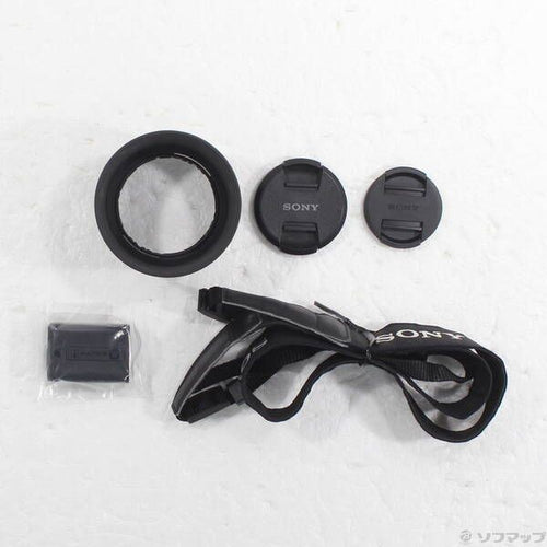 Sony Mirrorless Interchangeable Lips 6000 Ilce-6000Y 262