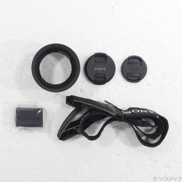 Sony Mirrorless Interchangeable Lips 6000 Ilce-6000Y 262