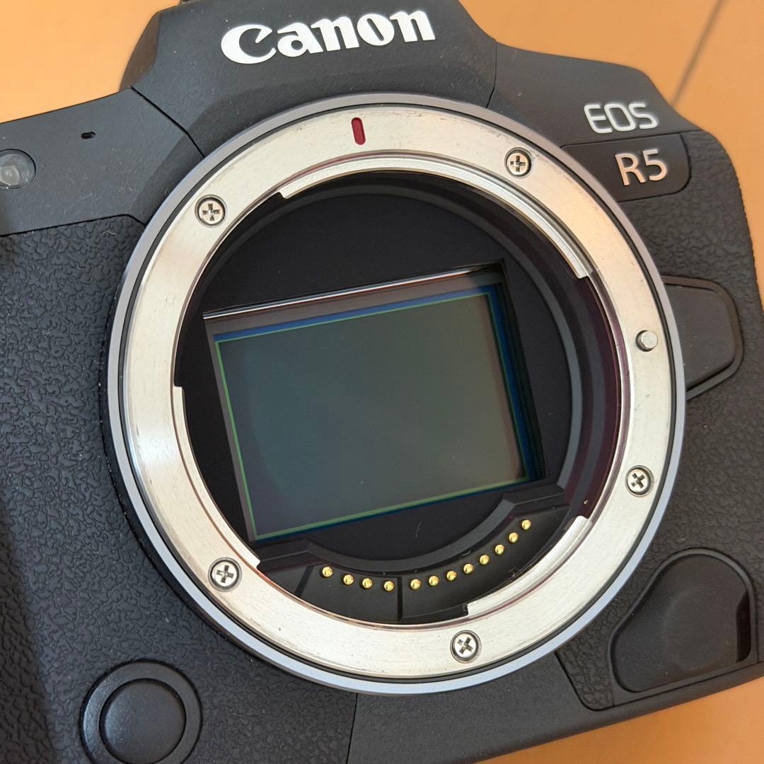 Canon Mirrorless Interchangeable Lips R5