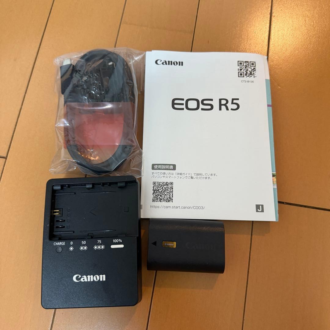 Canon Mirrorless Interchangeable Lips R5
