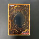 Yu -Gi -Oh! Ocg Duel Monsters (Foreign Language Version) Hl06-En004 5L