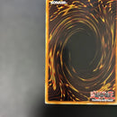 Yu -Gi -Oh! Ocg Duel Monsters (Foreign Language Version) Hl06-En004 5L