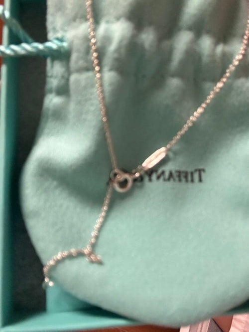 Tiffany Necklaces Co. Infinity
