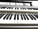 Yamaha Electronic Organs Ddk-7 D-Deck