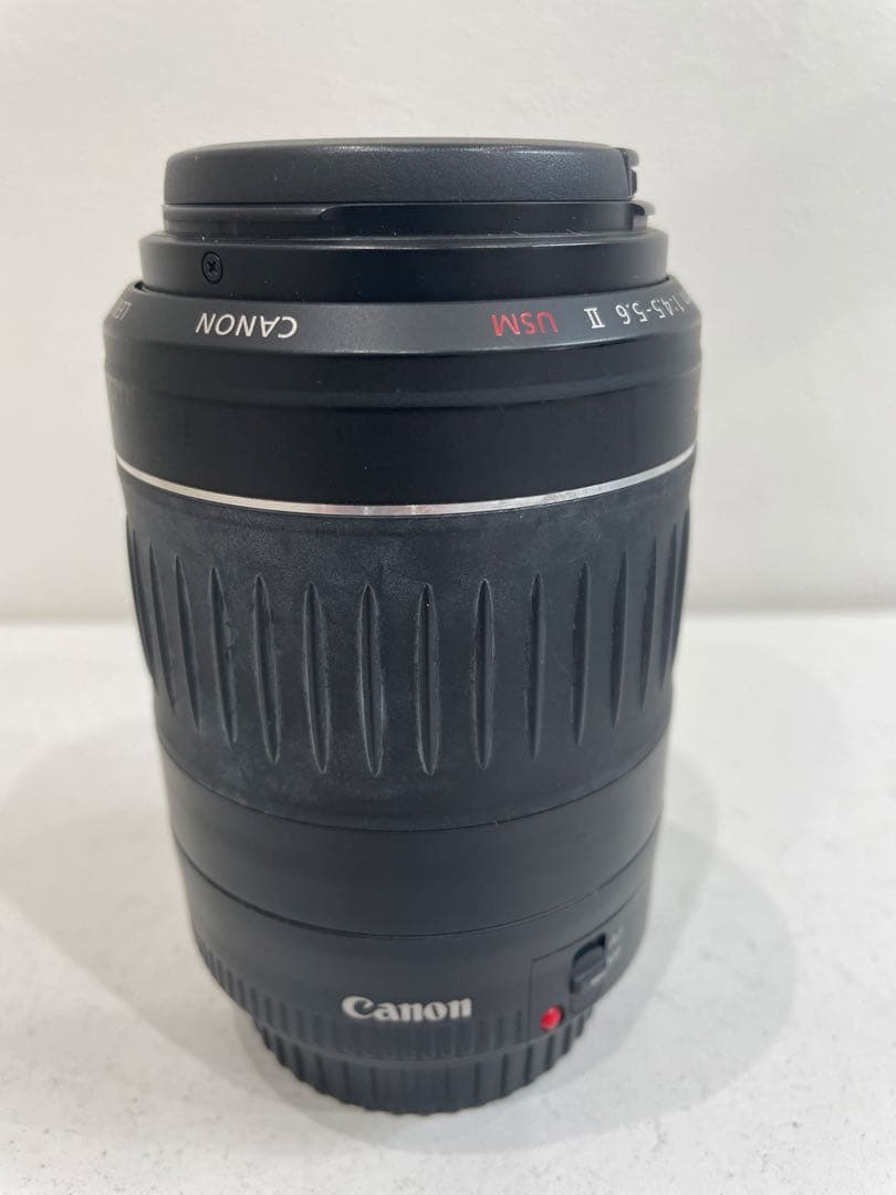 Canon Zoom Lenses Ef55-200Mm F4.5-5.6 Ii Usm