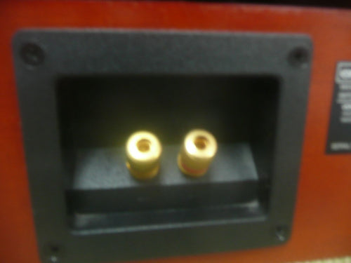 Speaker E978 Onkyo D-407C 120W 2604
